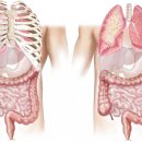 동양온누리약국 이미지