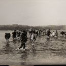 6.25참전 UN군 이미지