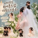 나의유부 | 부산 아바니호텔 본식 아이폰스냅 촬영후기(더무드스냅)