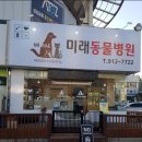 동물병원 여기로 이미지