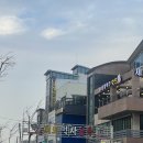 [충청남도 공주 맛집] 대천해수욕장,현주네포차,김피탕,뒤집어봤자전이여,반줄김밥