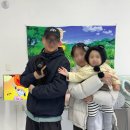 동두천-045 | 동두천강아지분양 멍냥스타의정부점 방문 후기 (1921)