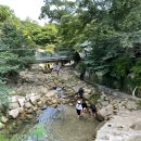 소나무를 품다 | 우이동계곡: 강북 최고의 힐링 명소, 자연과 역사를 품다