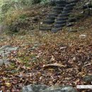 비룡민박 이미지