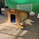 강촌청소년수련원 이미지