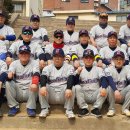 [인천][서해리그][일요리그][4부]인천 시걸스 야구단에서 팀원을 모집합니다. 이미지