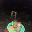 [Day7] 우붓에서 바투르화산투어, 지프타고 갑시다! 오늘은 낯선 도마뱀을 보았다.