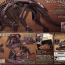 트리케라톱스-1 이미지