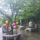 아라곰장어 | 부산 여행코스 추천! 오션뷰가 멋진 인스타 명소 해동용궁사🏯
