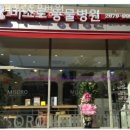 미소로 동물병원 | 영등포동 동물병원 미소로동물병원 위치 오는길 후기