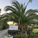 협재블리스 이미지