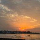 뽑기돼지 | 제주 2일차 🍊 연돈 웨이팅 성공 &amp; 제주올패스 뽕뽑기 코스 (감귤체험/오설록/흑돼지 찐맛집)