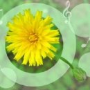 희망밥집 이미지