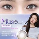 오렌즈AK플라자광명점 | 오렌즈 뮤즈 샤인그레이 원데이렌즈 착용후기