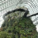 가든 오브 클라우드 이미지