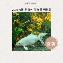 4월 2025 관상어 파충류 박람회
