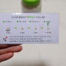 하귤과보리 이미지