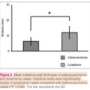 CT를 이용하여 고양이 alimentary lymphoma와 adenocarcinoma 구별하기 이미지