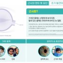 다비치안경보령점 이미지