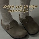 Birkenstock boton / 버켄스탁 보스턴 소프트 풋베드 토프 레귤러 245 사이즈 후기