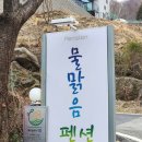 맑은물펜션 | 남양주애견동반펜션에서 힐링 제대로 하고 온 물맑음펜션 후기