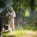 야생양봉원 이미지