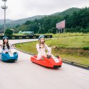 웰리힐리파크 루지파크 이미지