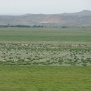 백양목장 이미지