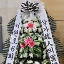 유*종 이미지