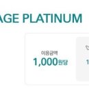 스카이플래티늄항공 이미지