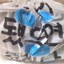 서울 관악구 국밥 맛집 정가네 마약 국밥