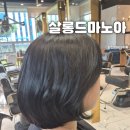 대명주유소 - 진천군 | 평촌범계미용실 살롱드마노아 무손상염색 정아디자이너