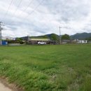 금척상리 이미지