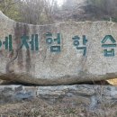 영천양잠협동조합
