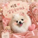 아워리 | 6월 첫째주