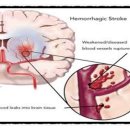 서울큰나무병원 이미지
