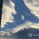채운 이미지