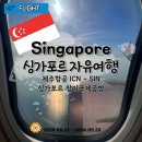 한국GM국제공항바로서비스 | 싱가포르 여행 제주항공 7C2623-7C2624 탑승, 창이 국제공항 T4 입국 출국 후기