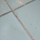 상봉한주타운 이미지