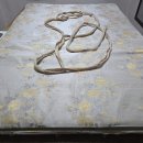 맥섬석으로 사는 사람들 이미지