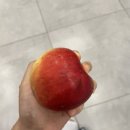 스타벅스 하단중앙점 | 나폴리 자유여행 05 | 내인생 첫 나폴리 지하철🚃 서점갔다가 스타벅스 시티컵 사기