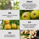 자연을 밥상에 담다, 산숲가든(안동 한식 단체모임 식당 추천)