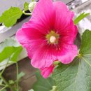 침산경로당 이미지