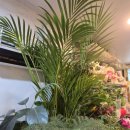 당산화원 이미지