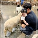 울산아이랑가볼만한곳 실내 놀거리 헬로우쥬 동물원 후기