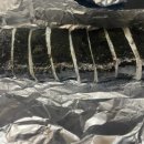 정직한김밥 이미지