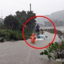 표선리-27 이미지