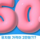 피터펫 미사점 이미지