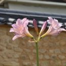 황산민박 이미지