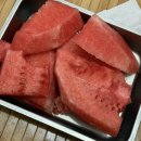 유구떡방앗간 | 2025년 여름맛을 제대로 만끽하는 7월 기록 (2)